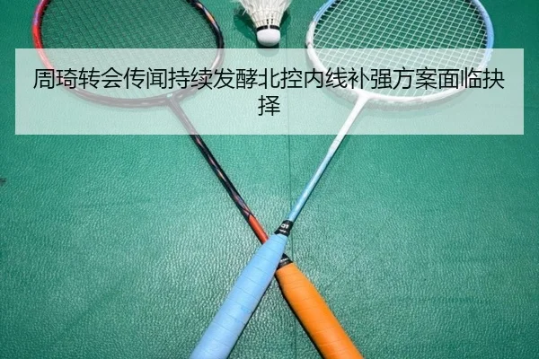 周琦转会传闻持续发酵北控内线补强方案面临抉择 - N8sportsofficial