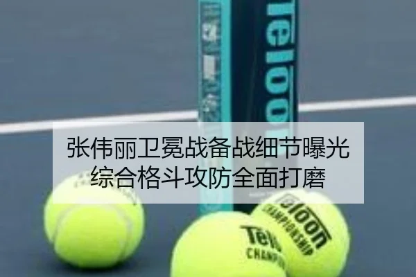 张伟丽卫冕战备战细节曝光 综合格斗攻防全面打磨 - N8sportsofficial